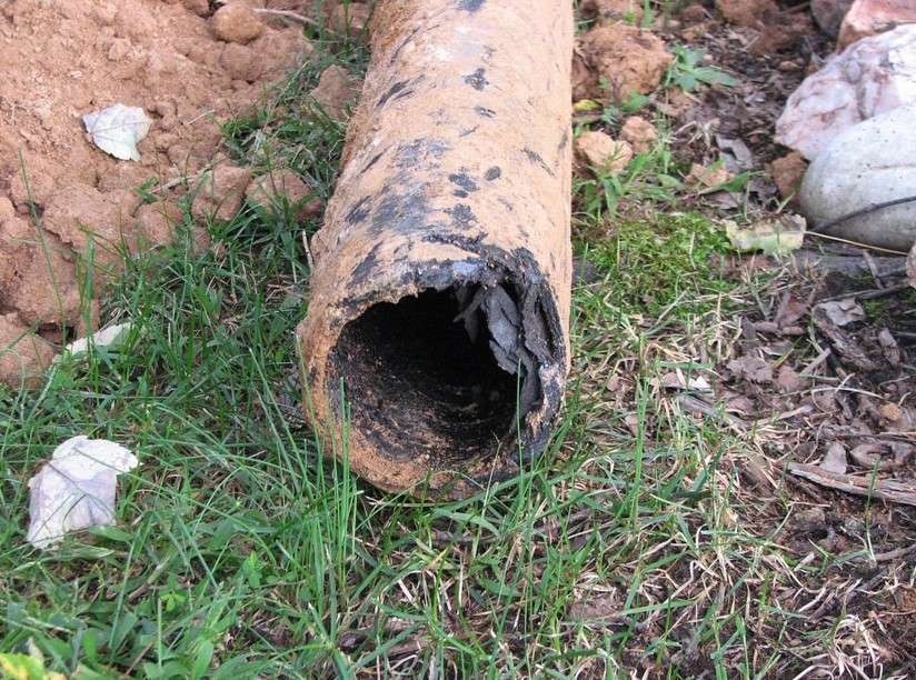 Common Causes of Sewer Line Damage in Fort Wayne, Indiana