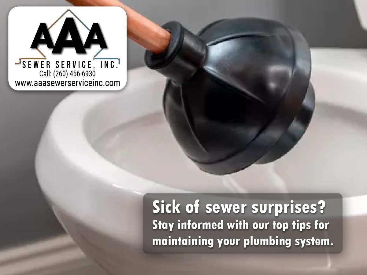 DIY vs. Professional Sewer Repairs: What You Need to Know